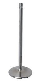 Manley Titanium Valves 11920-1