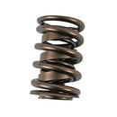 Manley Street Master Valve Springs 22407-16