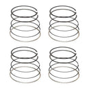 Manley Performance Piston Rings 46875-4