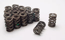 Manley 221425-16 NexTek Valve Springs, Dual 1.640" OD - Set of 16