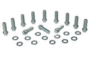 Moroso Intake Manifold Bolts 38400