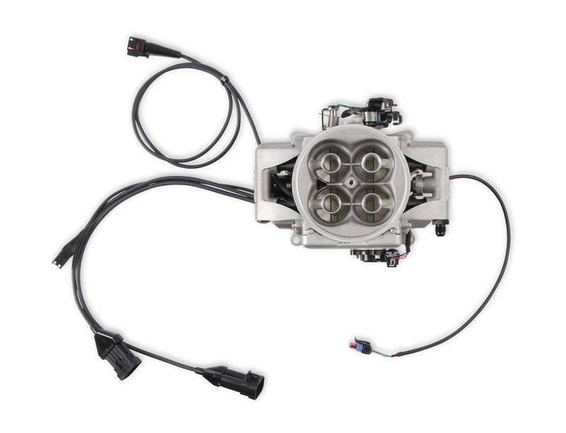 MSD 2900-2 Atomic EFI 2 Master Kit - Natural