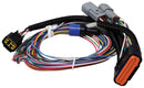 MSD Power Grid Replacement Wiring Harnesses 7780