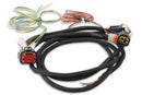 MSD Pro 600 Replacement Wiring Harnesses 80003