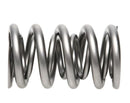 PAC Racing RPM Series Valve Springs PAC-1208X-16