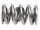 PAC Racing RPM Series Valve Springs PAC-1209X-16