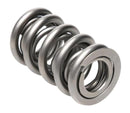 PAC Racing RPM Series Valve Springs PAC-1209X-16