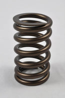 PAC Racing Specialty & Class Specific Valve Springs PAC-1210X-16