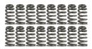 PAC Springs PAC-1217X-16 Valve Springs RPM Series Beehive Single 1.061 in