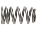 PAC Racing RPM Series Valve Springs PAC-1218X-16