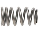 PAC Racing RPM Series Valve Springs PAC-1218X-16