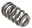 PAC Racing RPM Series Valve Springs PAC-1218X-16