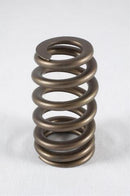 PAC Racing 1200 Series Valve Springs PAC-1219-16