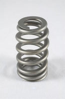 PAC Racing RPM Series Valve Springs PAC-1219X-16