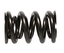 PAC Racing 1200 Series Drag Race Valve Springs PAC-1224-16