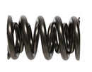 PAC Racing 1200 Series Drag Race Valve Springs PAC-1225-16