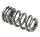 PAC Racing RPM Series Valve Springs PAC-1234X-16