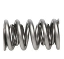 PAC Racing RPM Series Valve Springs PAC-1237X-16