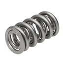PAC Racing RPM Series Valve Springs PAC-1237X-16