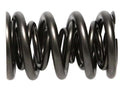 PAC Springs PAC-1248-16 Drag Race Triple Valve Springs, 1.645 O.D.