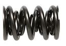 PAC Springs PAC-1248-16 Drag Race Triple Valve Springs, 1.645 O.D.