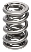 PAC Racing 1300 Series Drag Race Valve Springs PAC-1324-16