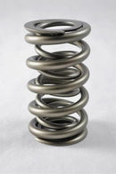 PAC Racing 1300 Series Valve Springs PAC-1340-16