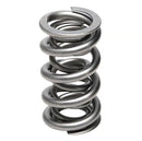 PAC Racing 1300 Series Valve Springs PAC-1357-16