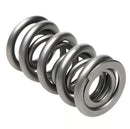 PAC Racing 1300 Series Valve Springs PAC-1357-16