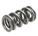 PAC Racing 1300 Series Valve Springs PAC-1357-16