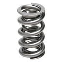PAC Racing 1300 Series Valve Springs PAC-1357-16