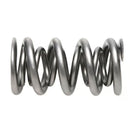 PAC Racing 1300 Series Valve Springs PAC-1357-16