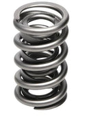 PAC Racing 1300 Series Valve Springs PAC-1395-16