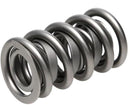 PAC Racing 1300 Series Valve Springs PAC-1395-16