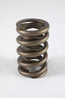 PAC Racing 1900 Series Hot Rod Valve Springs PAC-1903-16