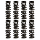 PAC Racing 1900 Series Hot Rod Valve Springs PAC-1903-16