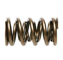 PAC Racing 1900 Series Hot Rod Valve Springs PAC-1904-16