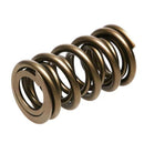 PAC Racing 1900 Series Hot Rod Valve Springs PAC-1904-16