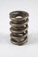 PAC Springs PAC-1905-16 LS Dual Hot Rod Valve Springs, 1.304 O.D.