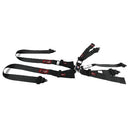 RJS Racing Equipment 1034401 SFI 16.1 Classic Series Camlock Harness