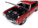 Auto World 1:18 Scale 1972 Buick GSX Diecast Model AMM1301/06