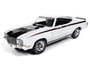 Auto World 1:18 Scale 1970 Buick GSX Hardtop MCACN Diecast Model AMM1322/06