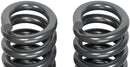 Dorman Heavy-Duty Coil Springs 929-916