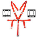 RaceQuip Camlock Harnesses 741011RQP