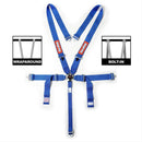 RaceQuip Camlock Harnesses 741021RQP