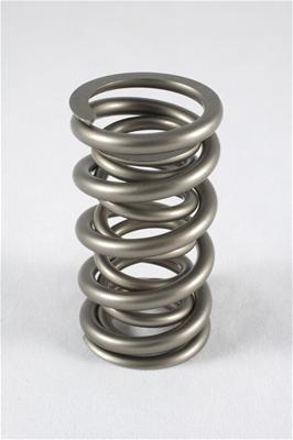 PAC Springs PAC-1206X-16 Valve Springs RPM Series Dual 1.290 in. O.D. 409