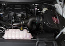 Roush Cold Air Intakes 422089