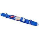 Simpson Latch & Link Lap Belts 29004BL