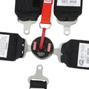 Simpson Camlock Driver Restraint Systems 29102BKH