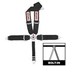 Simpson Camlock Driver Restraint Systems 29108BK